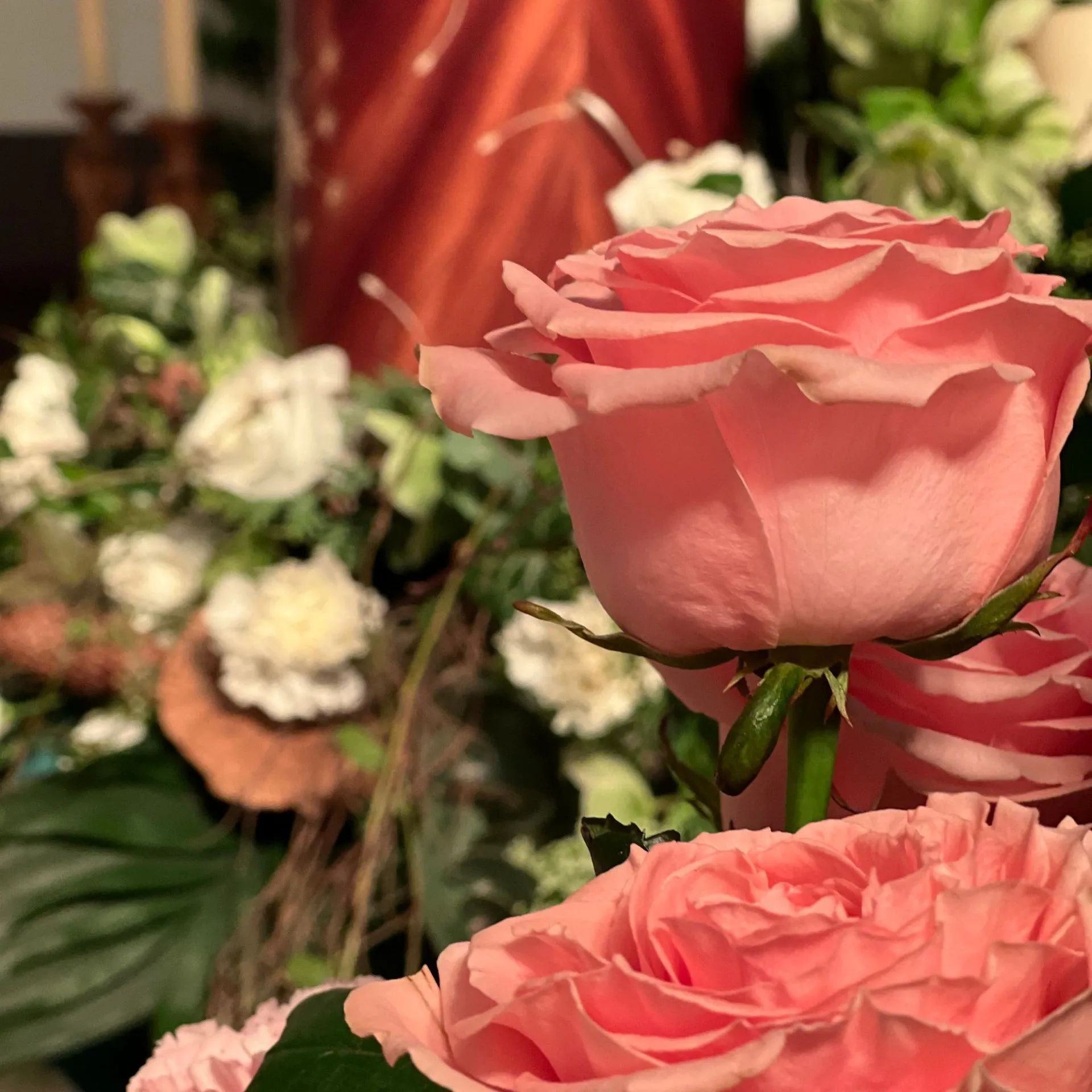 Wunderschoene Rose in rosa Bestattungshaus LESCH Hannover