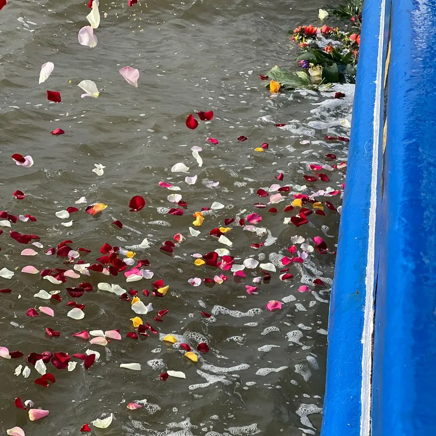 Burial at sea Rose petals floating in the sea Funeral parlour LESCH Hanover