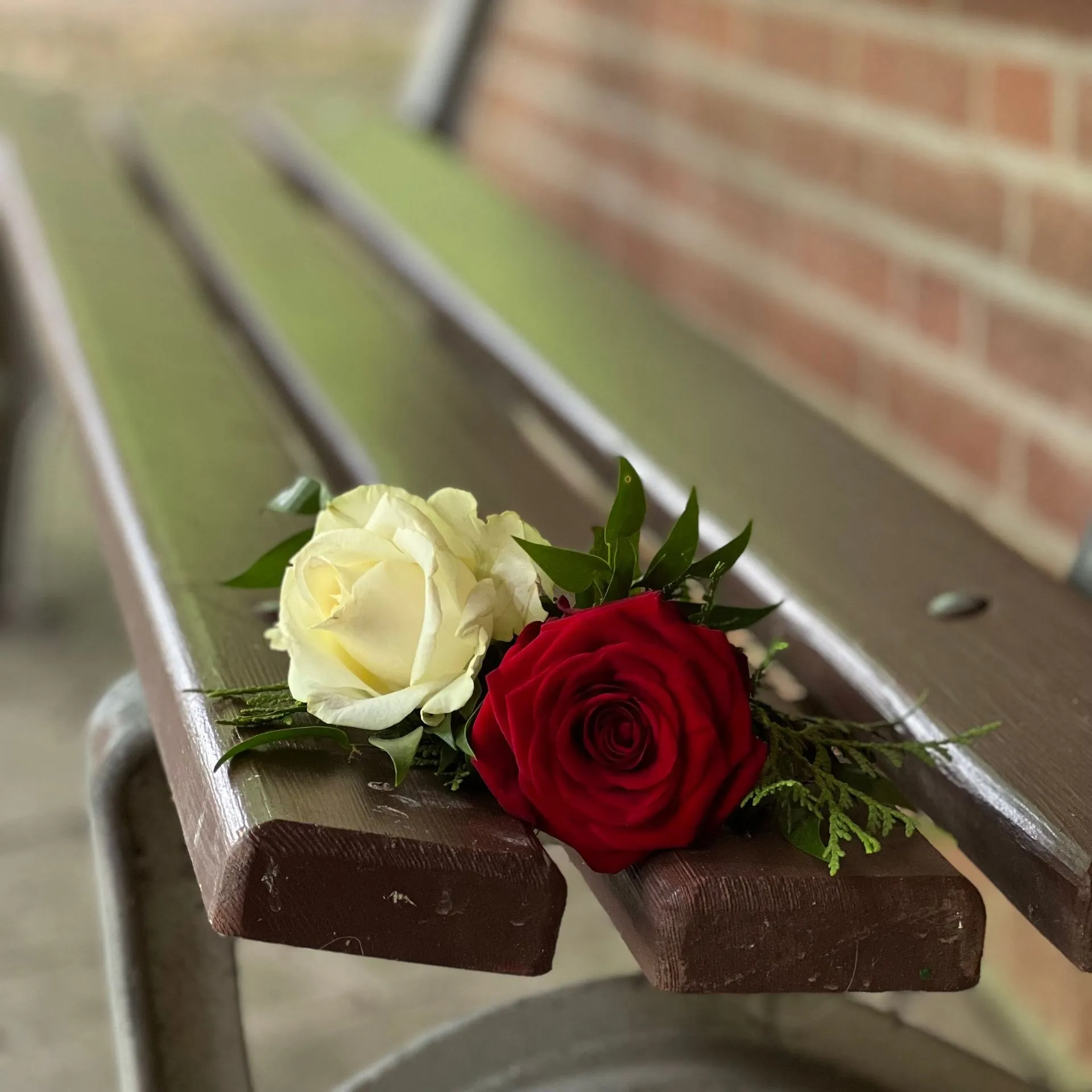 Zwei Rosen Auf Einer Bank Bestattungshaus LESCH Hannover
